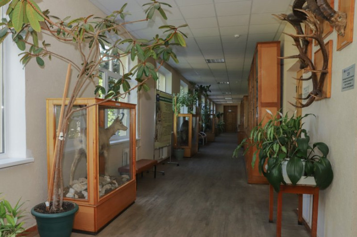 Adyghe State University’s Museums Make Their Debut at the 'Night of Museums' Event